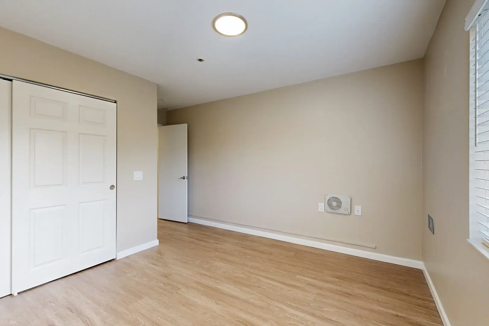 ormond pine 4